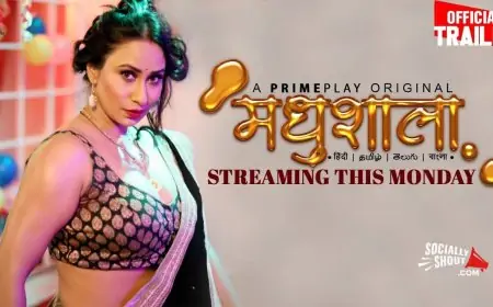 Madhushaala Web Series (2023) On Primeplay: Watch All Episodes Online Madhushaala Web Series (2023) On Primeplay: Watch All Episodes Online