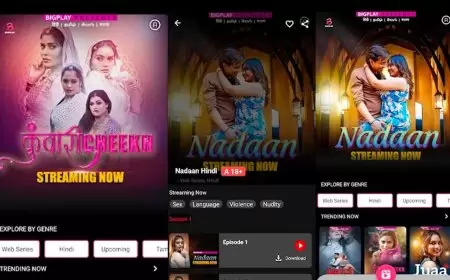 Bigplay Confusion: Primeplay, Hunter, Besharam, and More - Updates and Speculations Bigplay Confusion: Primeplay, Hunter, Besharam, and More - Updates and Speculations