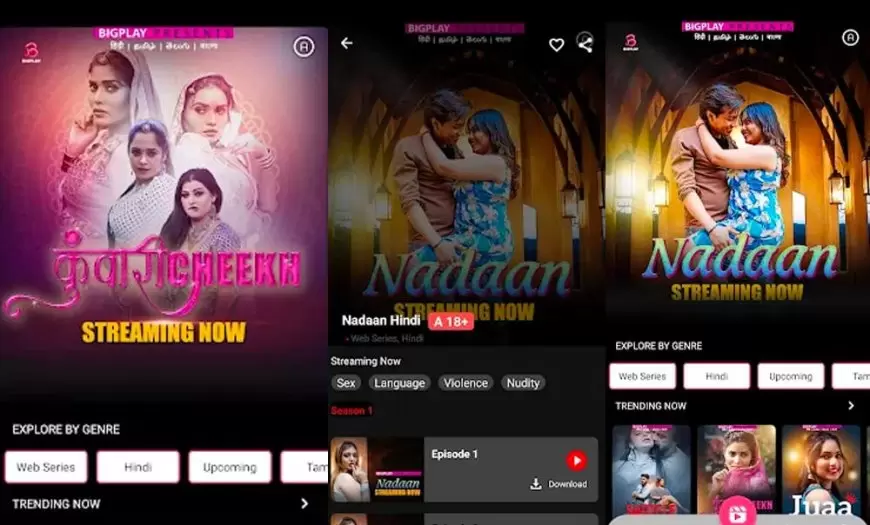 Bigplay Confusion: Primeplay, Hunter, Besharam, and More - Updates and Speculations