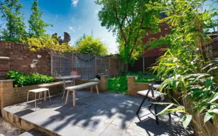 Create Beautiful Gardens for your house Utilizing a Garden Cultivator Create Beautiful Gardens for your house Utilizing a Garden Cultivator