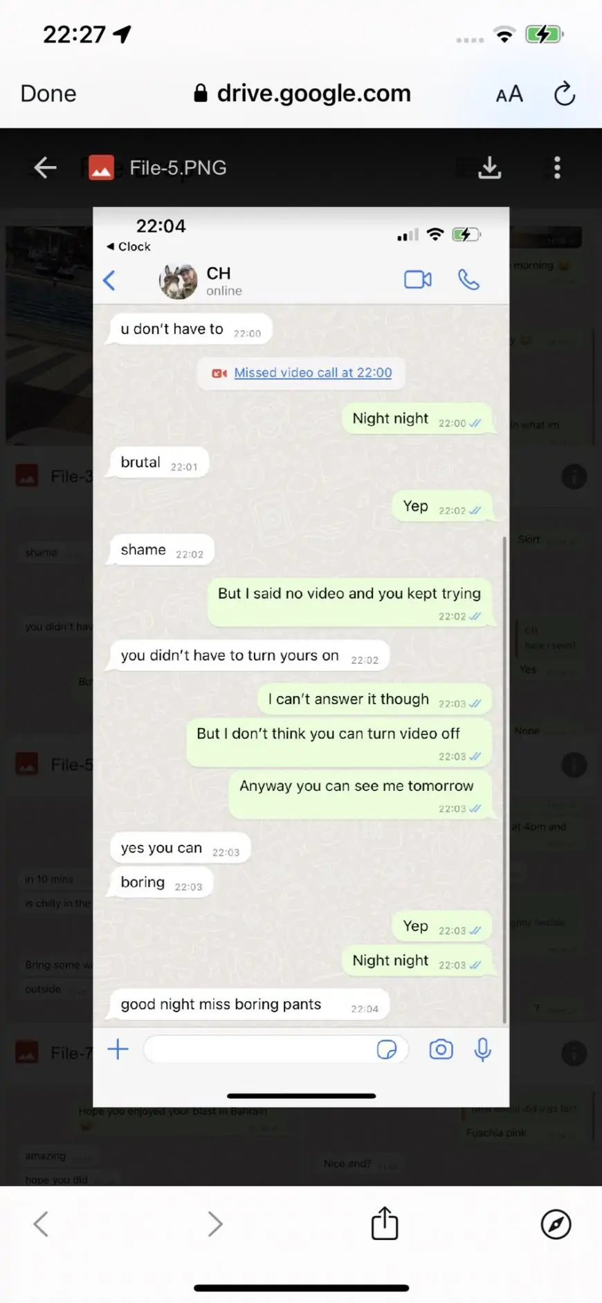 Christian Horner messages photos, Red Bull leaked messages Reddit, Red Bull leaked messages screenshot