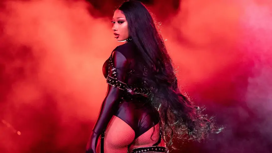 Megan Thee Stallion video, Megan Thee Stallion DeepFake Video
