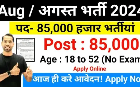Top 6 Government Job Vacancy in August 2024 Top 6 Government Job Vacancy in August 2024