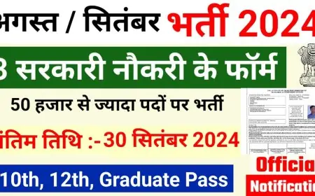 Government Job Opportunities in August and September 2024: How to Apply and What to Expect Government Job Opportunities in August and September 2024: How to Apply and What to Expect