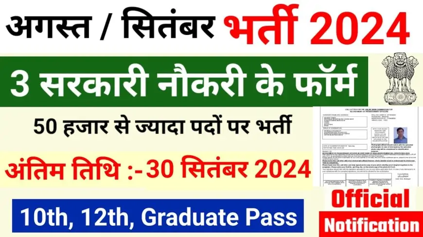 Government Job Opportunities in August and September 2024: How to Apply and What to Expect