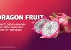 How to Grow a Dragon Fruit Tree from Seeds: A Step-by-Step Guide