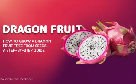 How to Grow a Dragon Fruit Tree from Seeds: A Step-by-Step Guide How to Grow a Dragon Fruit Tree from Seeds: A Step-by-Step Guide