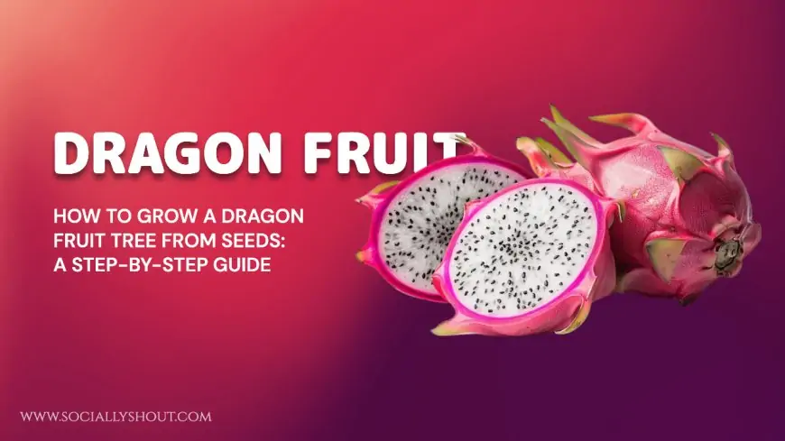 How to Grow a Dragon Fruit Tree from Seeds: A Step-by-Step Guide