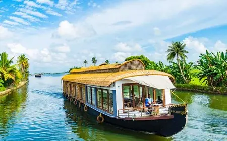 Kerala Travel Guide 2026: Priya's Honest Experience & Local Tips