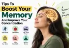 Tips To Boost Your Memory And Improve Your Concentration