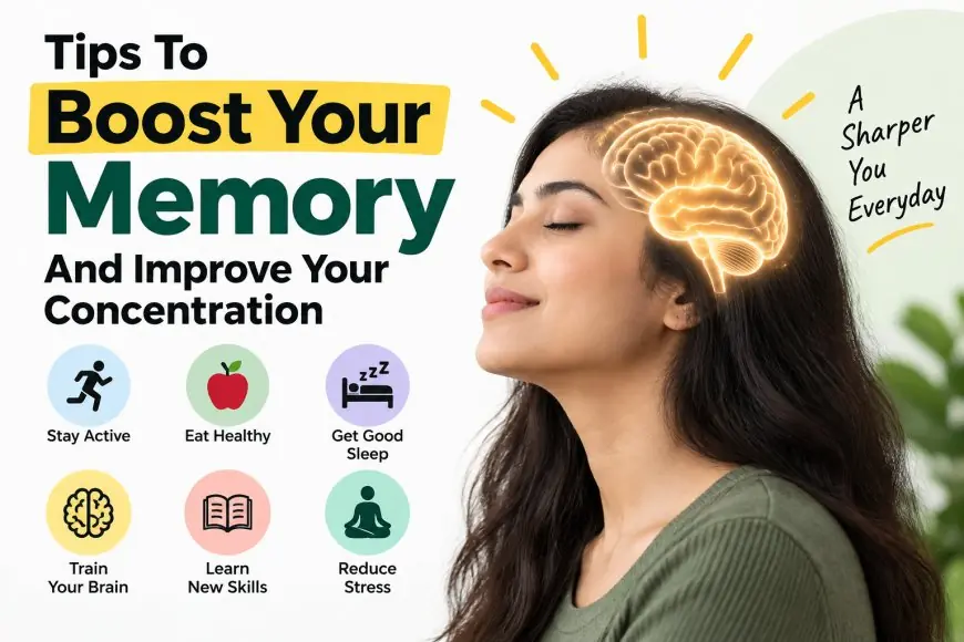 Tips To Boost Your Memory And Improve Your Concentration